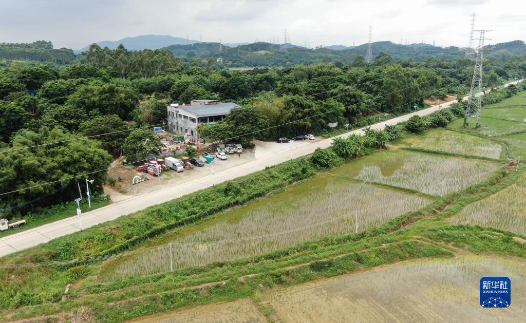 平台哪家信誉好